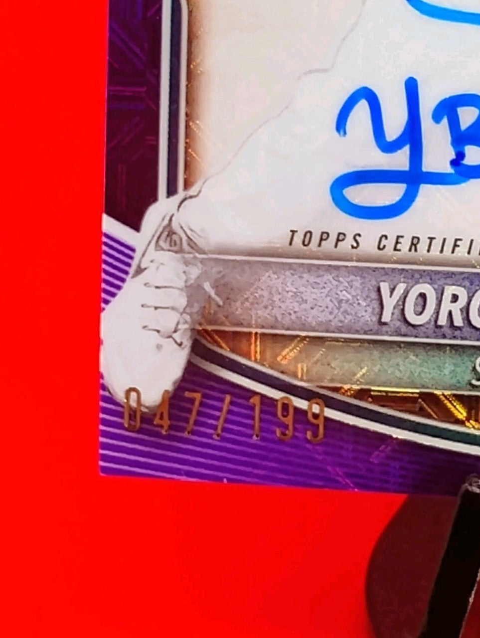 Yorger Bautista 2025 Bowman Chrome #BMA-YB Purple Mojo Refractor Auto #47/199 🔥