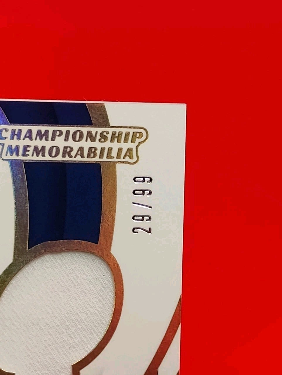 Daryl Johnston 2024 Panini Immaculate Championship Memorabilia #CM-DJN - #29/99